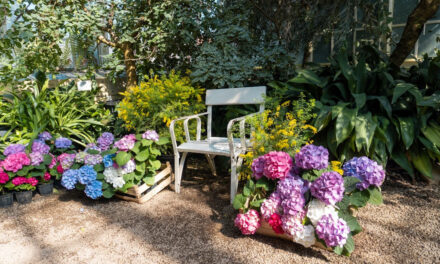 Jak skutecznie odnowić białe krzesła plastikowe – sprawdzone metody na czyszczenie i malowanie